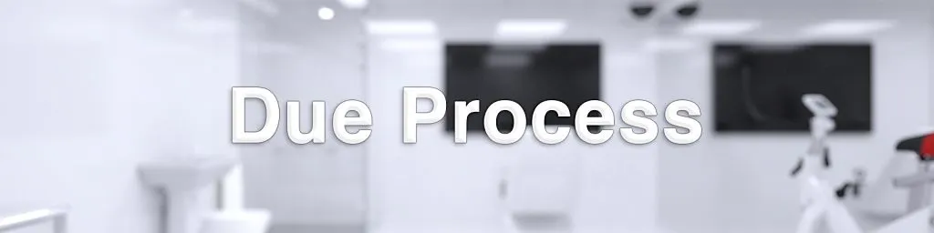 Due Process [v0.3.6.0] [kivik]